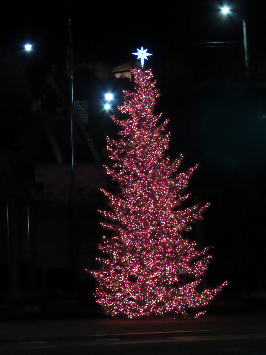 Christmas tree at Port Angeles