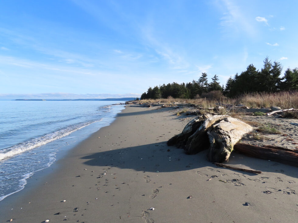 Jamestown Beach Peninsula Passage