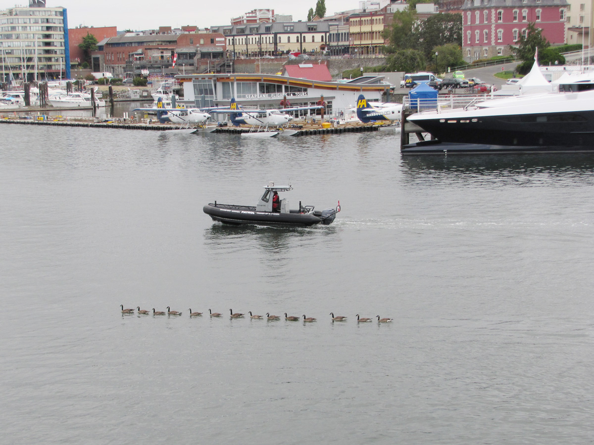 Victoria Inner Harbor