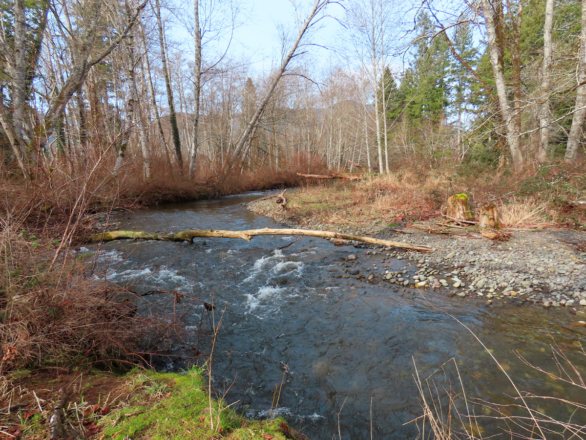 little-quilcene-river