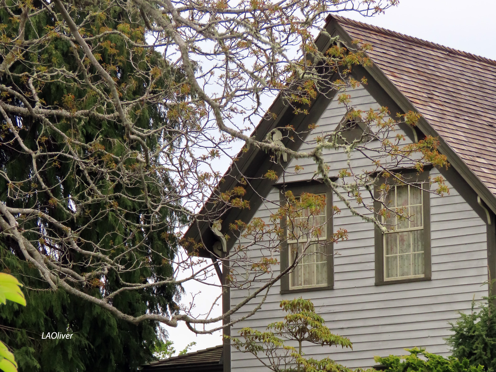 Window detail, McAlmond House, Dungeness, Clallam County Window detail, McAlmond House, Dungeness, Clallam County