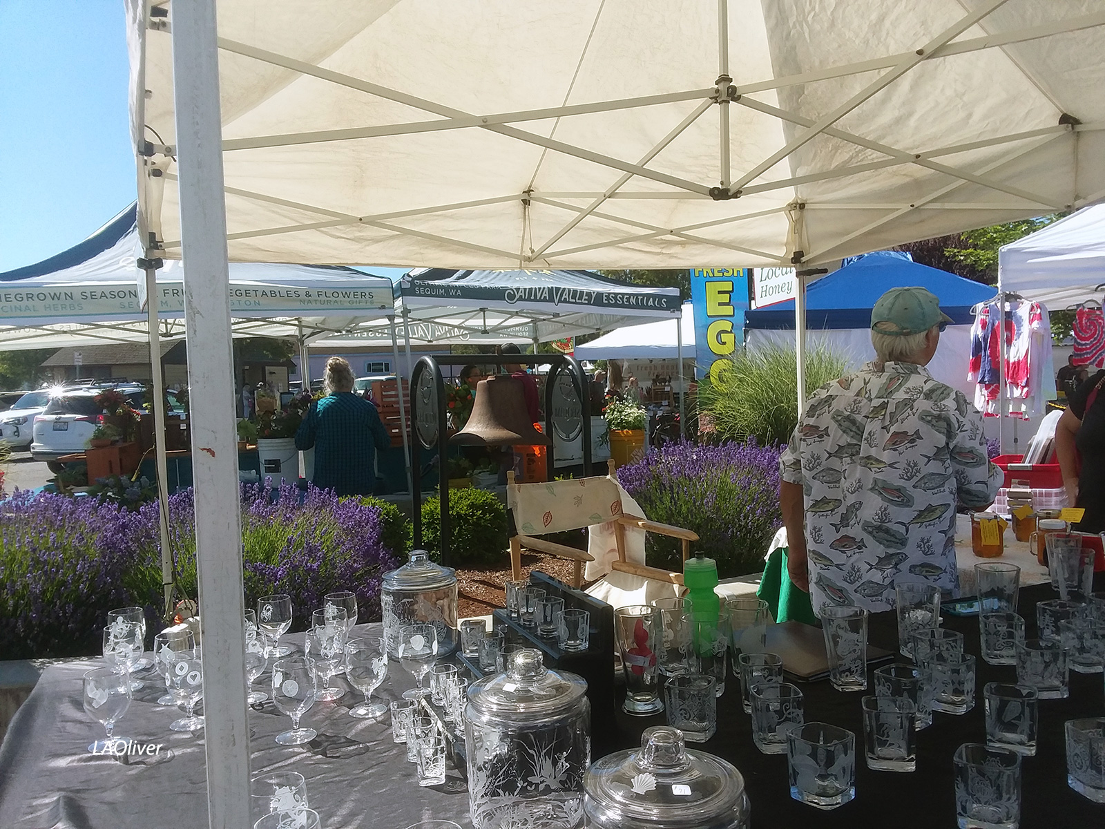 eclectic-offerings chipmunk along Hurricane Hill Trail