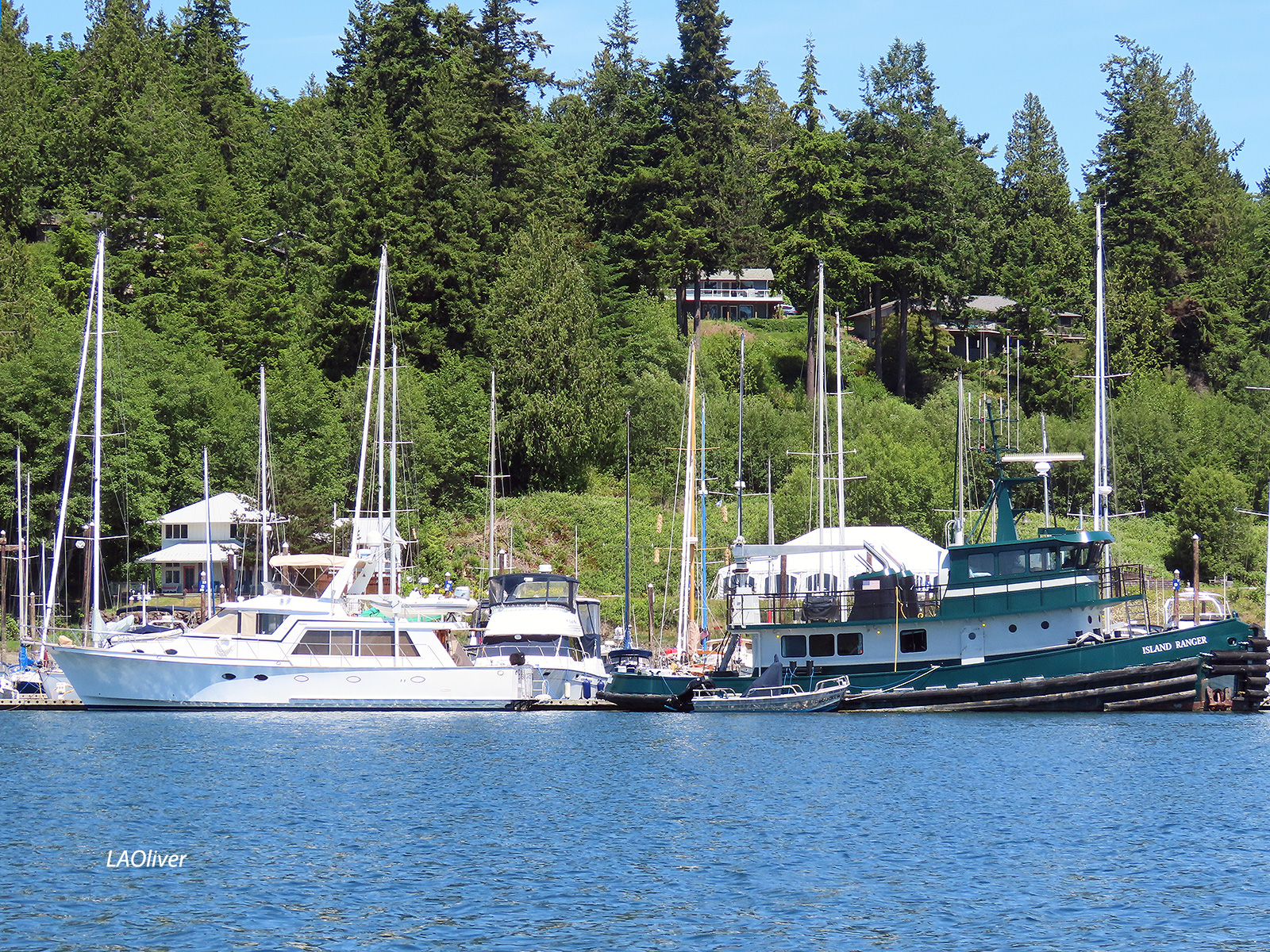 Boats at the Port Ludlow Marina Boats at the Port Ludlow Marina