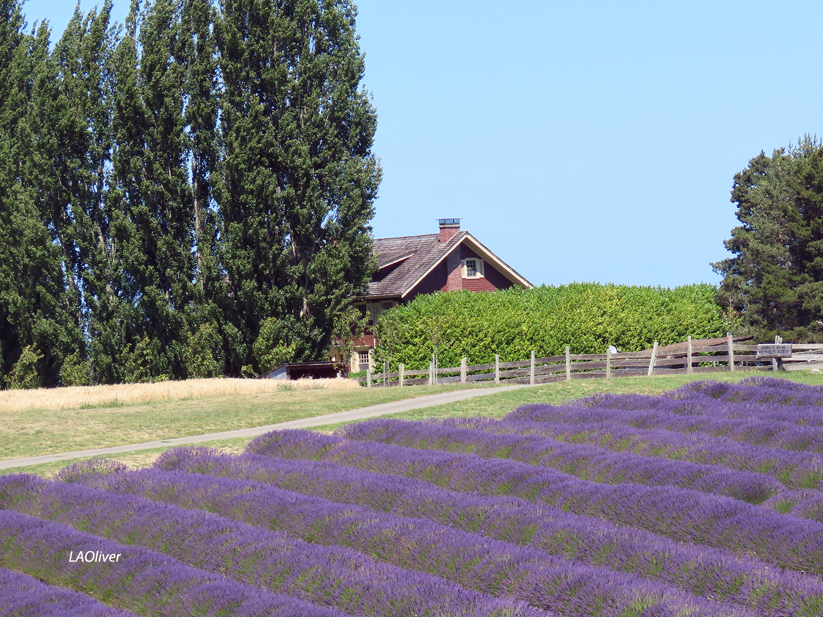 graysmarsh-farm-house2