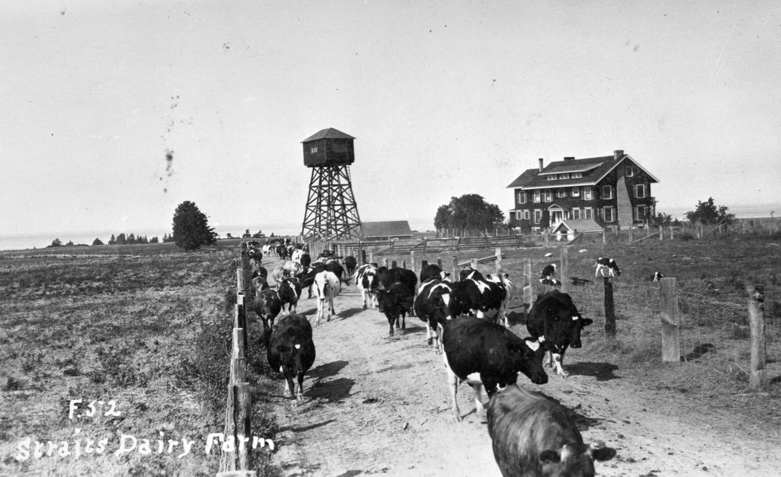 Old photo of Straits Dairy Farm Old photo of Straits Dairy Farm