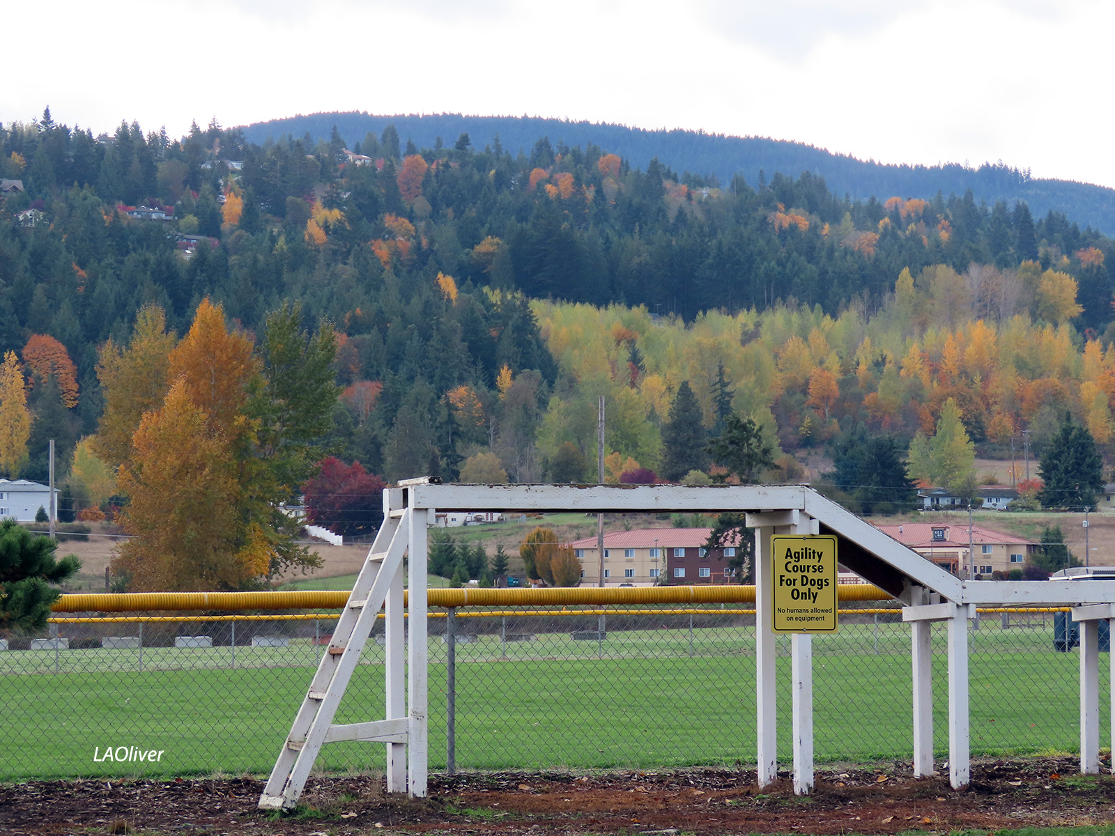 Dog park agility course at Carrie Blake Park Dog park agility course at Carrie Blake Park